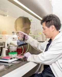 Director: Dr. Wu Weilin