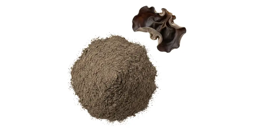 Black Fungus Extract Black Fungus Extract