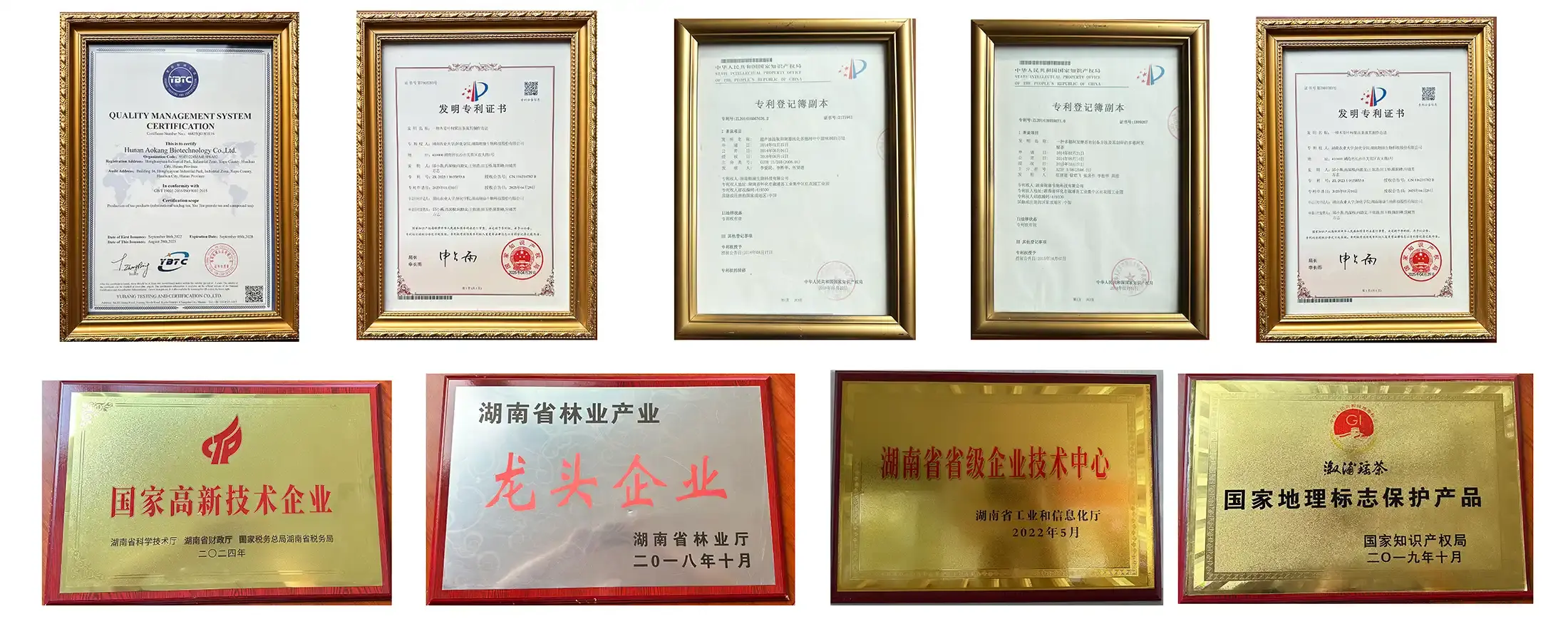 Aokang Certificate